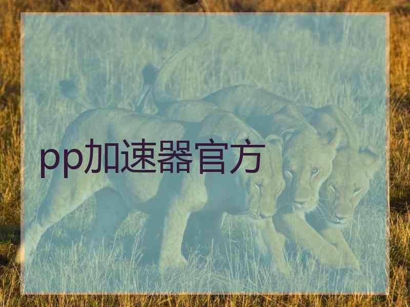 pp加速器官方