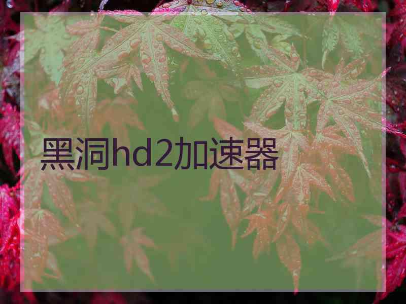 黑洞hd2加速器