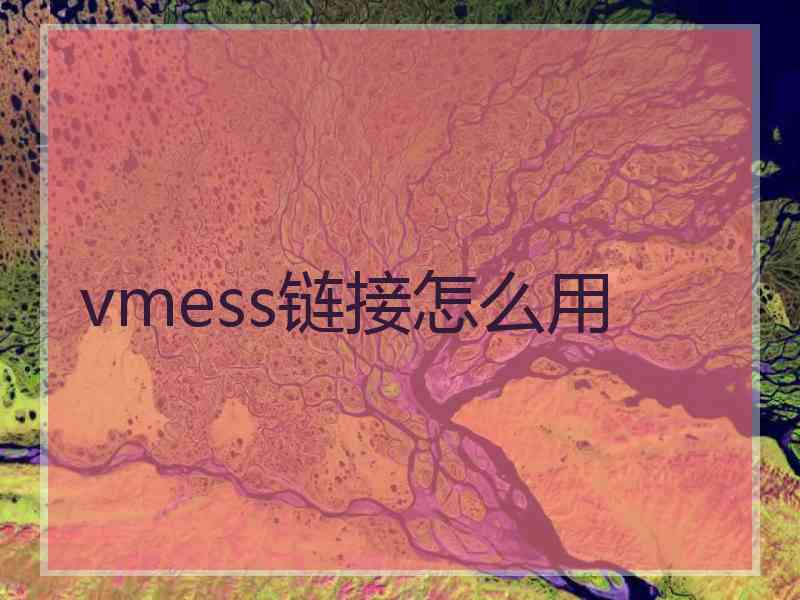 vmess链接怎么用