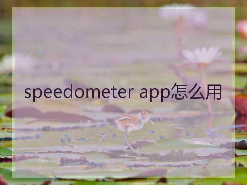 speedometer app怎么用