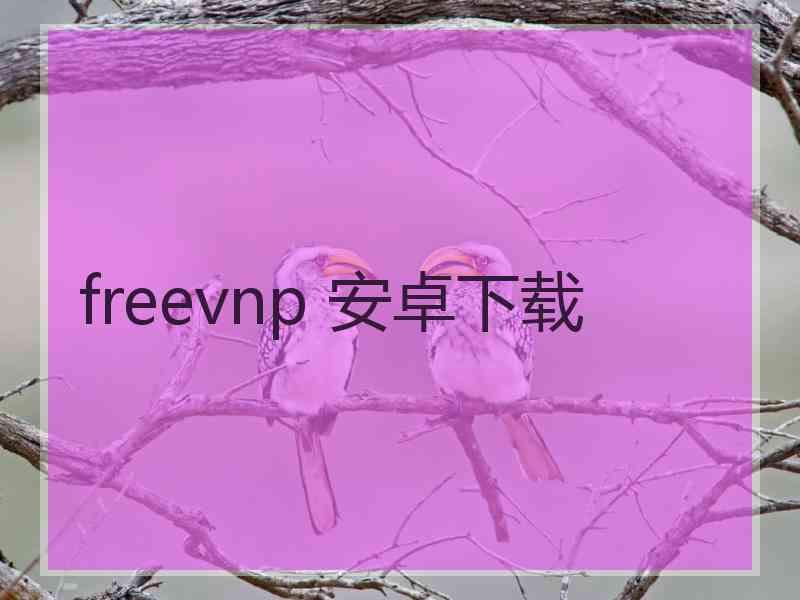 freevnp 安卓下载