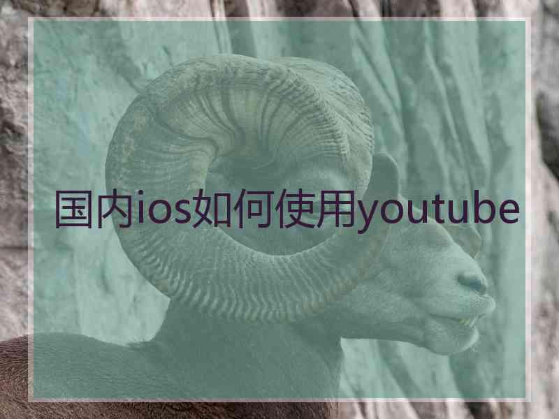 国内ios如何使用youtube