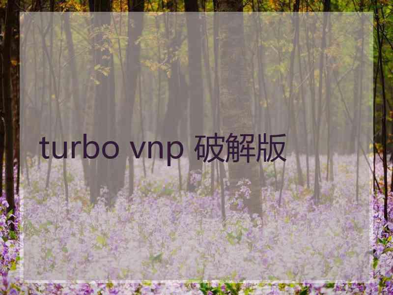 turbo vnp 破解版