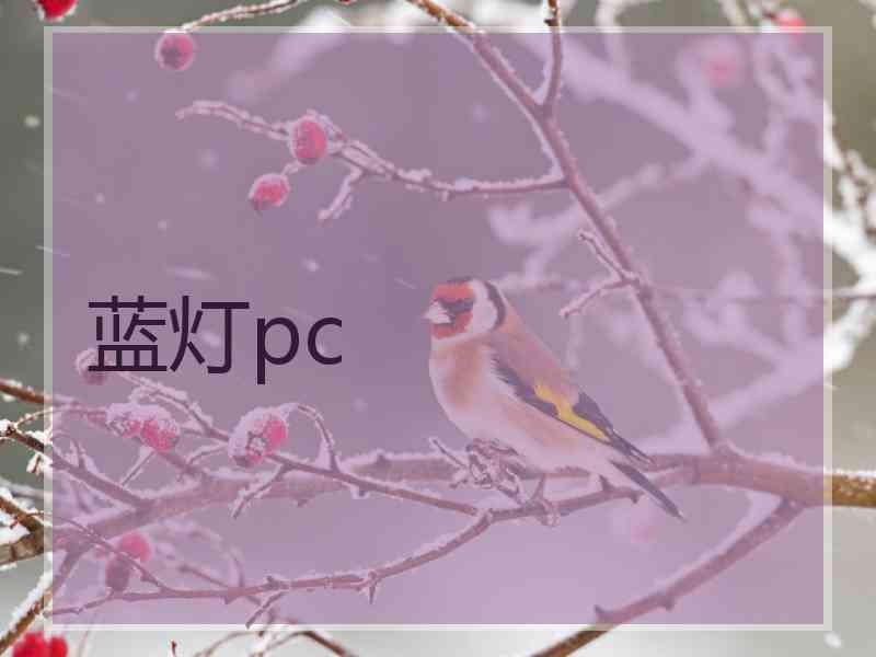 蓝灯pc