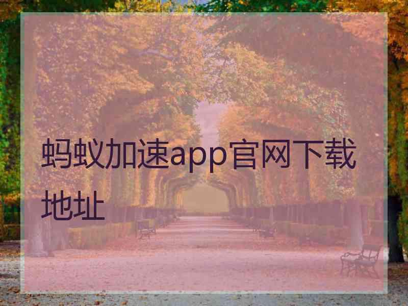 蚂蚁加速app官网下载地址