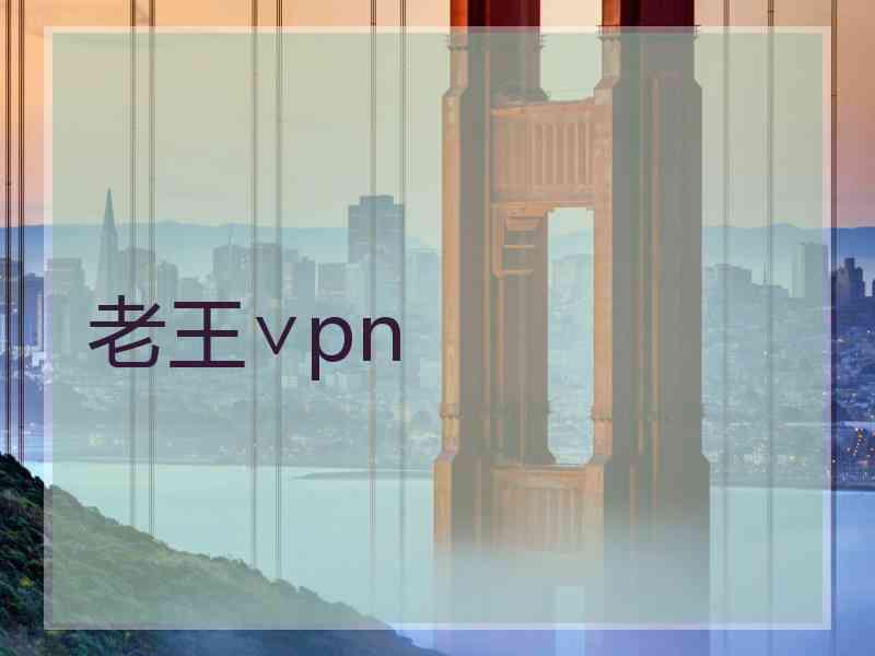老王∨pn