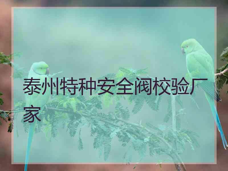 泰州特种安全阀校验厂家
