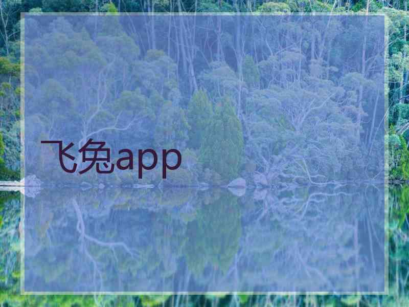 飞兔app
