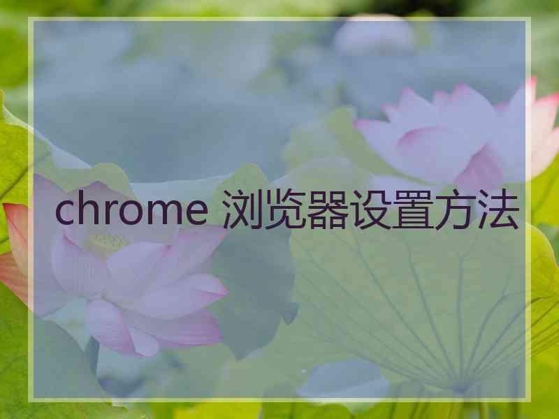 chrome 浏览器设置方法