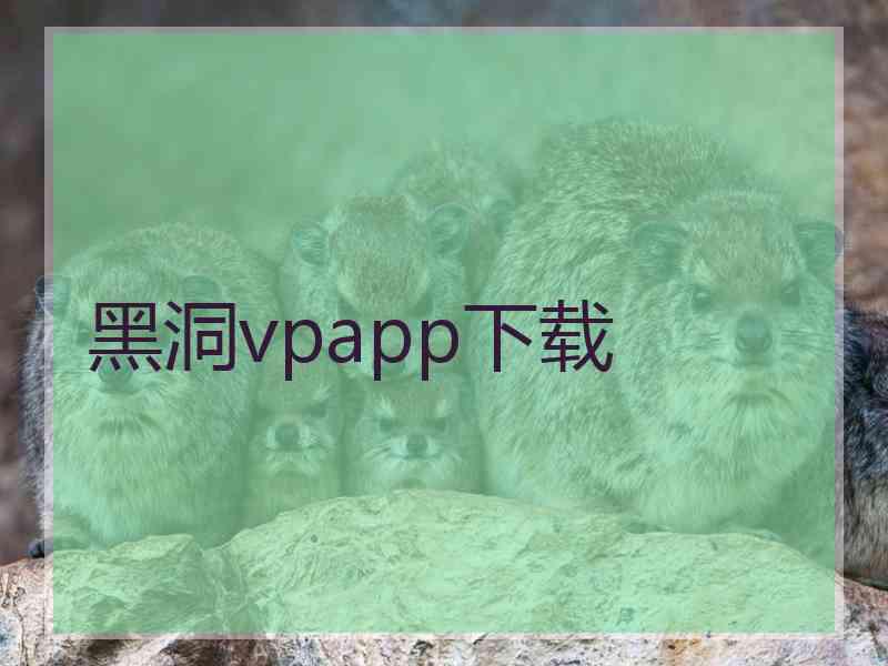 黑洞vpapp下载