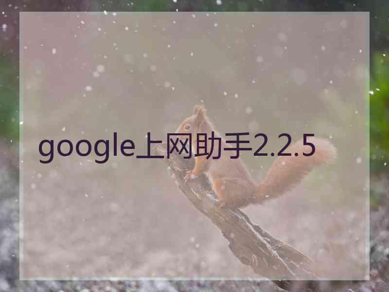 google上网助手2.2.5