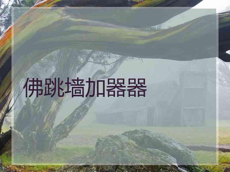 佛跳墙加器器