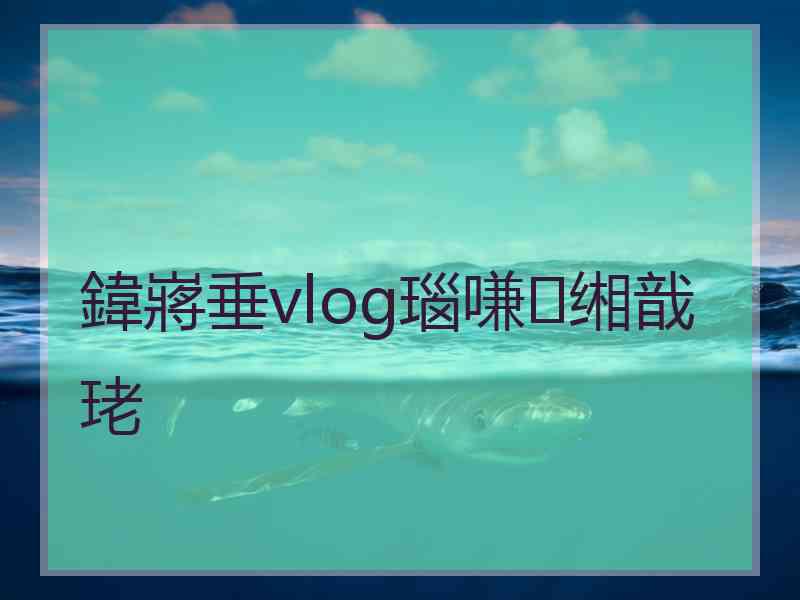 鍏嶈垂vlog瑙嗛缃戠珯
