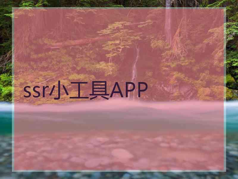 ssr小工具APP