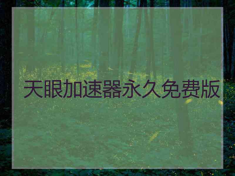 天眼加速器永久免费版