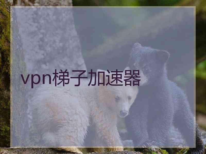 vpn梯子加速器