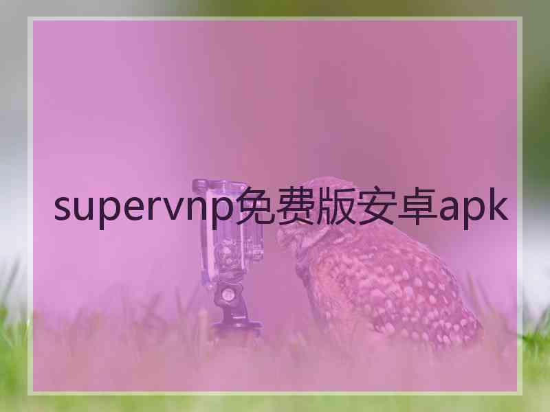 supervnp免费版安卓apk