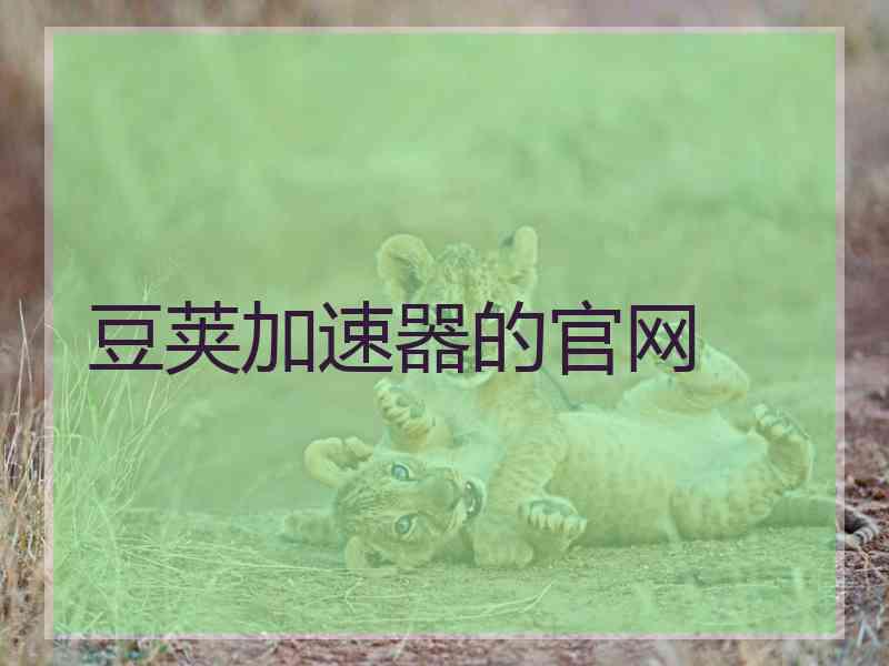 豆荚加速器的官网
