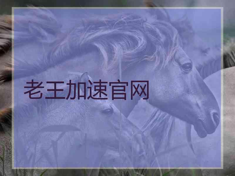 老王加速官网