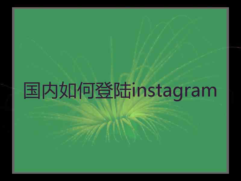 国内如何登陆instagram