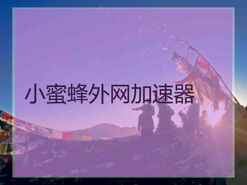 小蜜蜂外网加速器