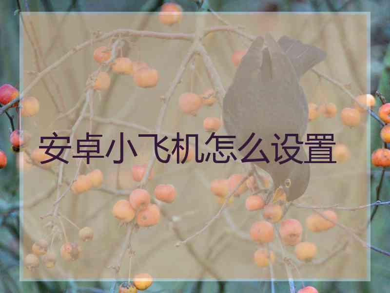 安卓小飞机怎么设置