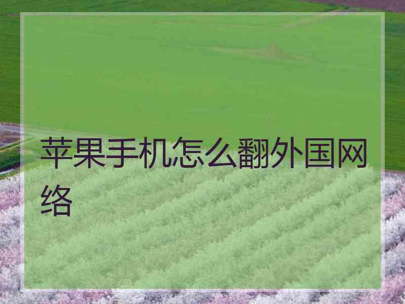 苹果手机怎么翻外国网络