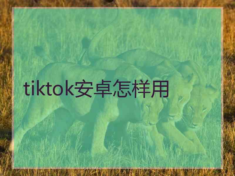 tiktok安卓怎样用