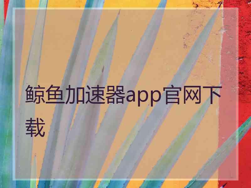 鲸鱼加速器app官网下载