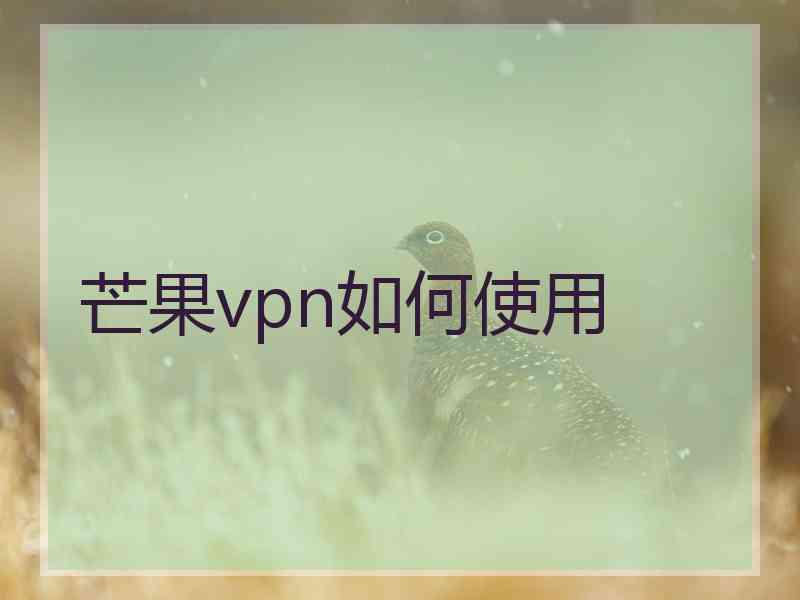 芒果vpn如何使用