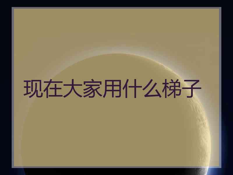 现在大家用什么梯子