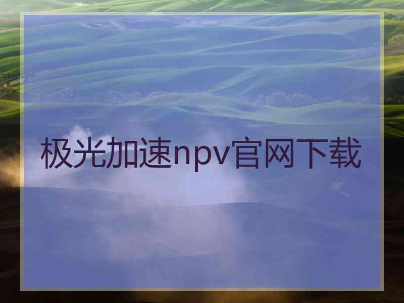 极光加速npv官网下载