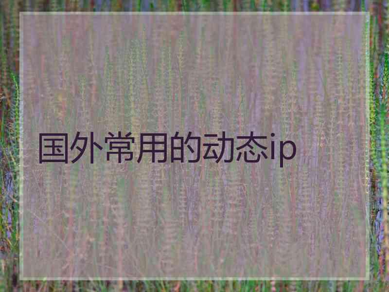 国外常用的动态ip