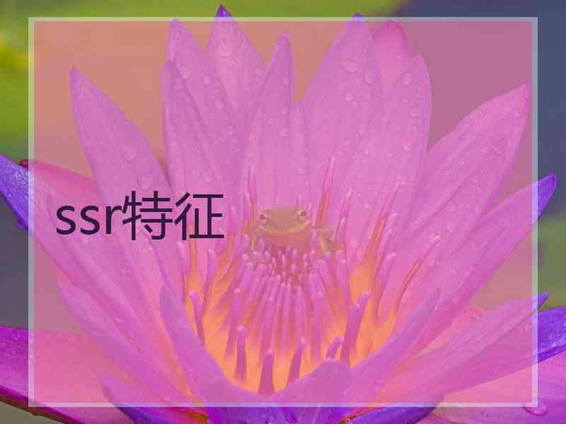 ssr特征