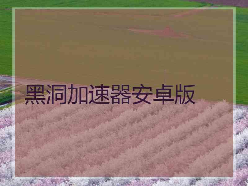 黑洞加速器安卓版