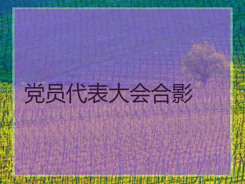 党员代表大会合影