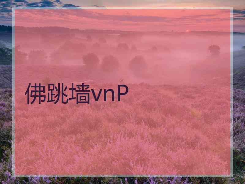 佛跳墙vnP