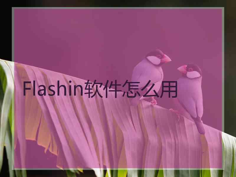Flashin软件怎么用