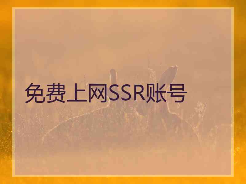 免费上网SSR账号