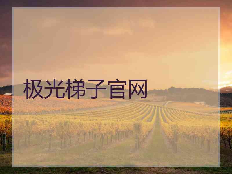 极光梯子官网
