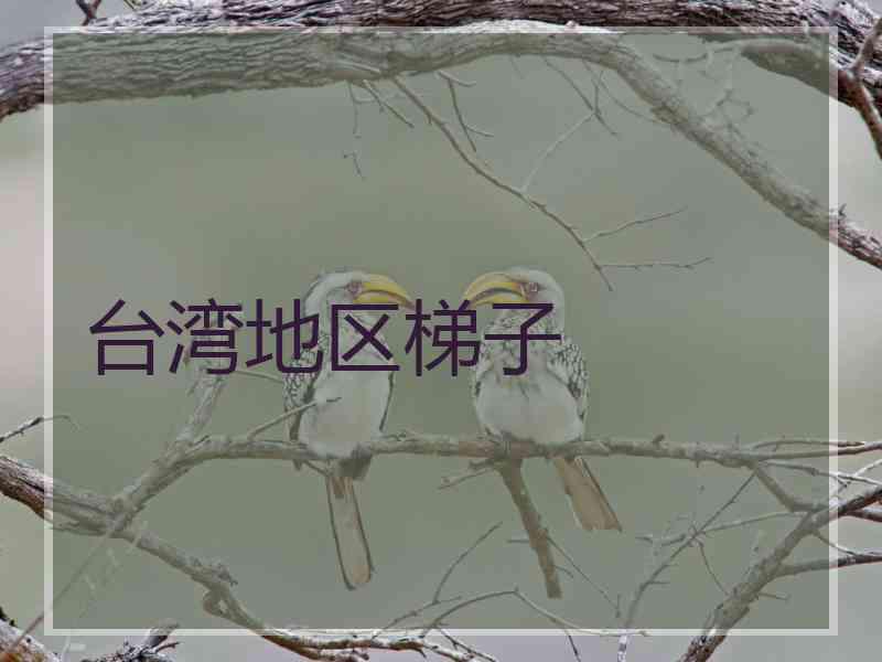台湾地区梯子