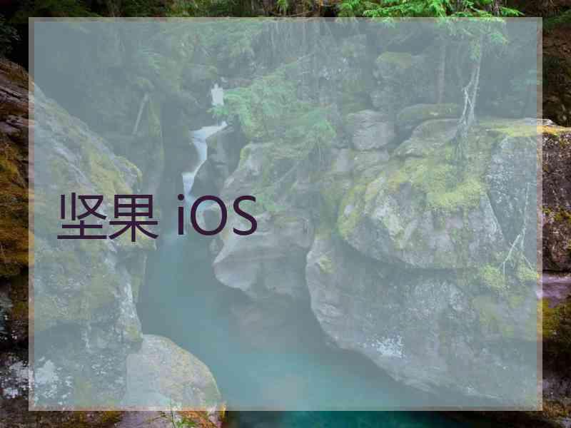 坚果 iOS