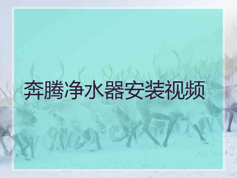 奔腾净水器安装视频