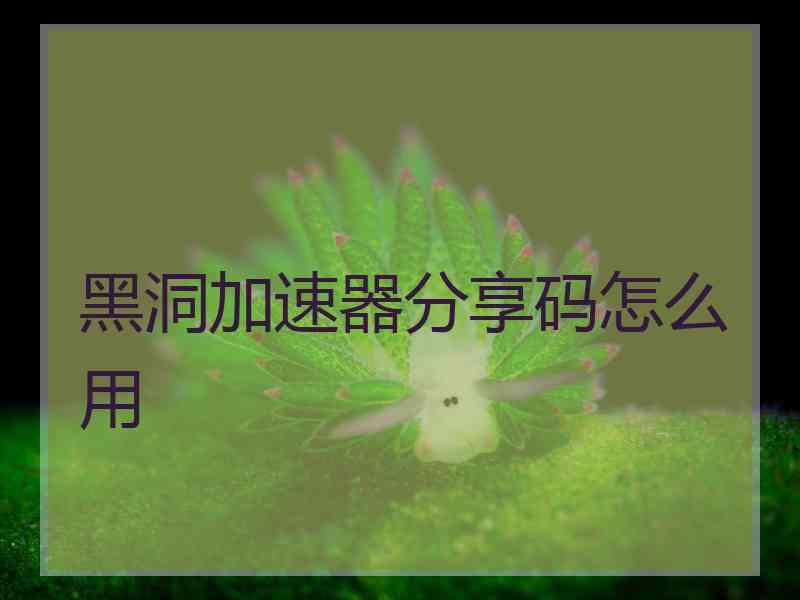 黑洞加速器分享码怎么用