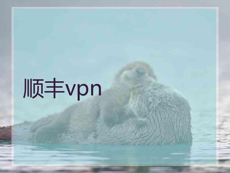 顺丰vpn