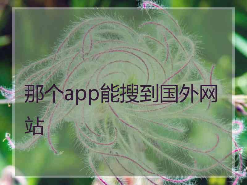 那个app能搜到国外网站