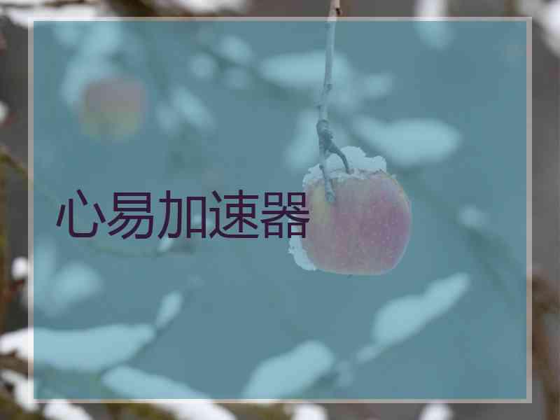心易加速器