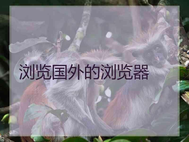 浏览国外的浏览器