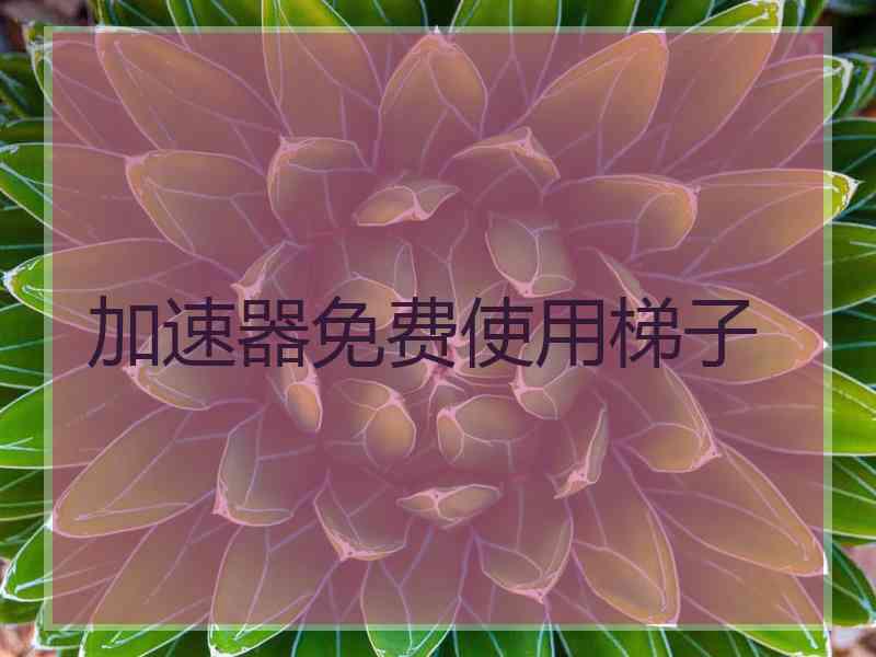 加速器免费使用梯子
