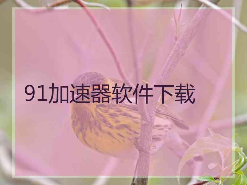 91加速器软件下载